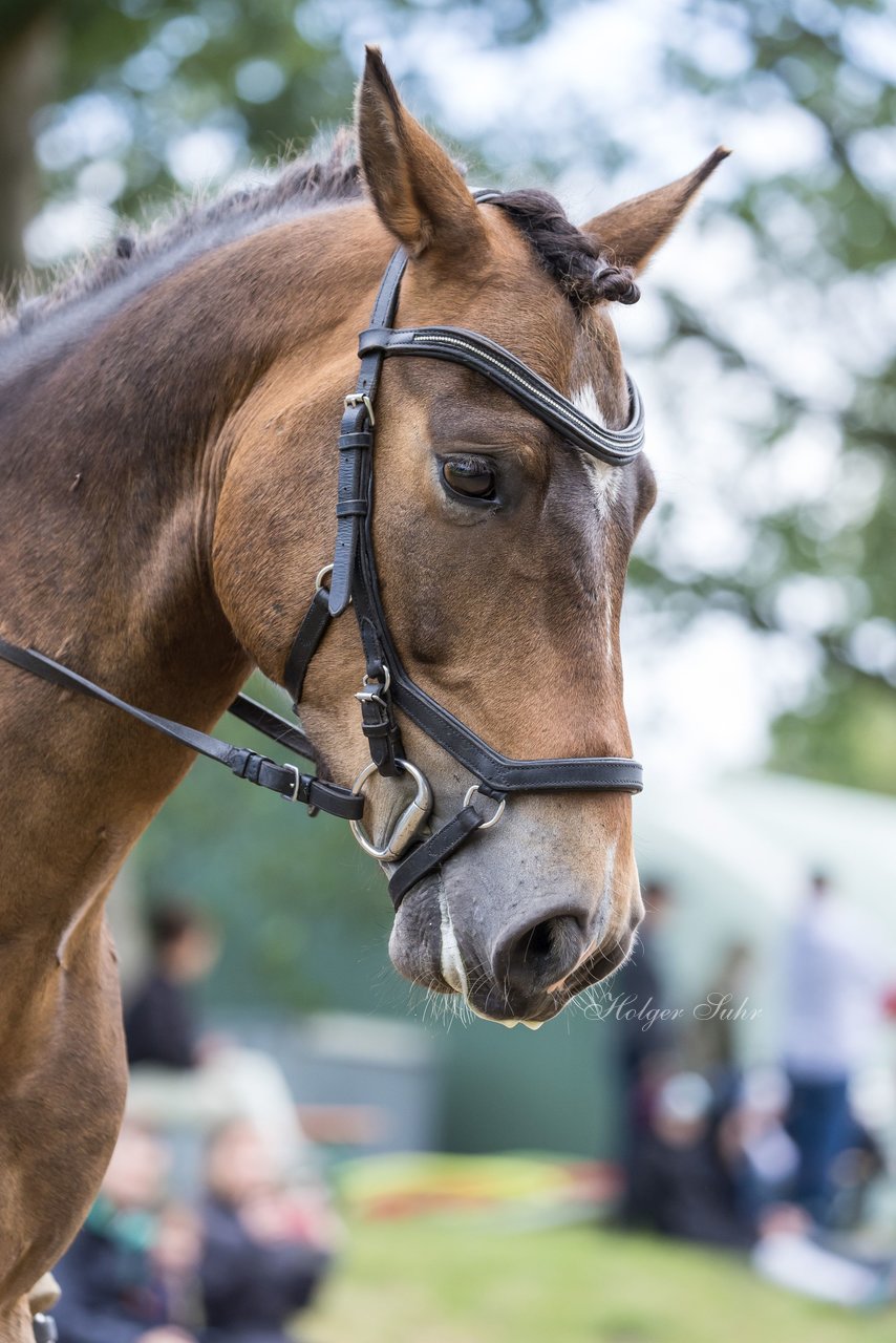 Bild 199 - Pony Akademie Turnier